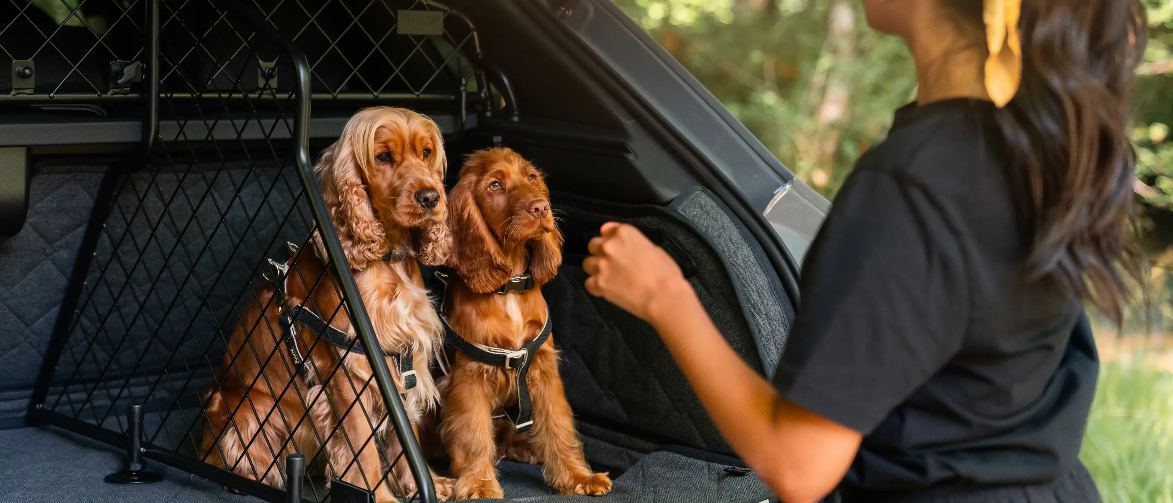 Bentley Bespoke Dog Guard and Moveable Luggage Divider, designed and engineered to create flexible travel zones that give pets their own cozy safe space and owners complete peace of mind. 